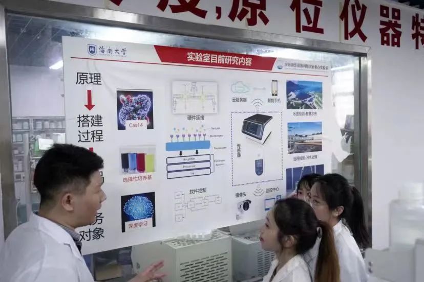 永利3044noc集团官网